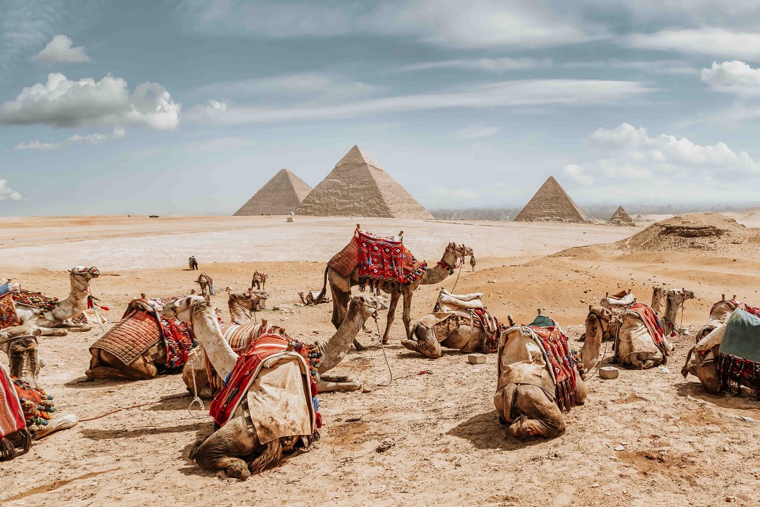 Tips When Travelling to Egypt
