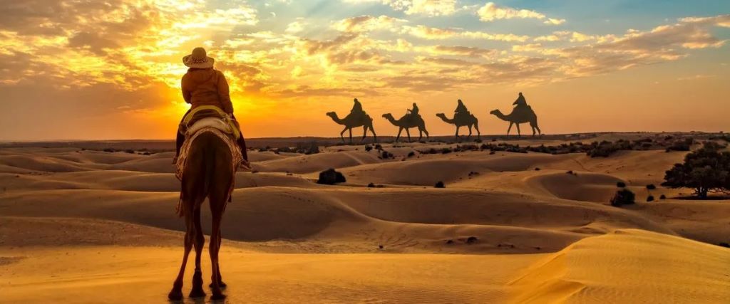 Desert Safari Adventure